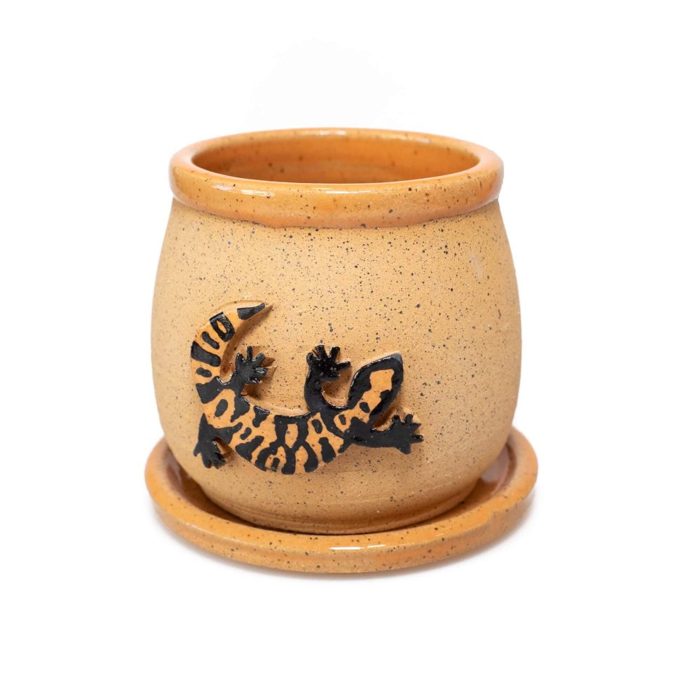 Gila monster ceramic planter side view by crooked tree ceramics