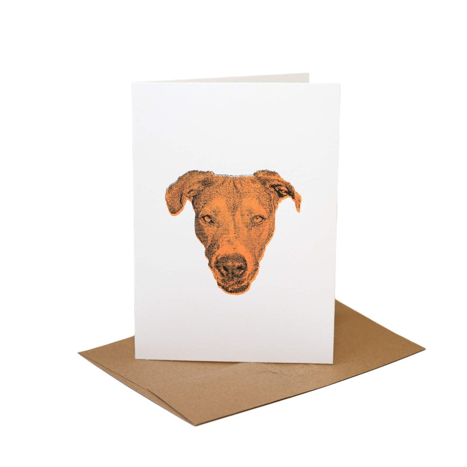 Puppy face Card by Greg Esser